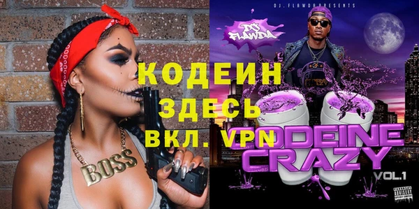 мдпв Краснослободск