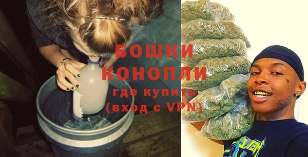 гашик Пересвет