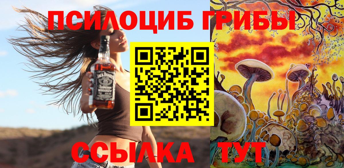 Кстово  Псилоцибиновые грибы Psilocybe  Вход с VPN 